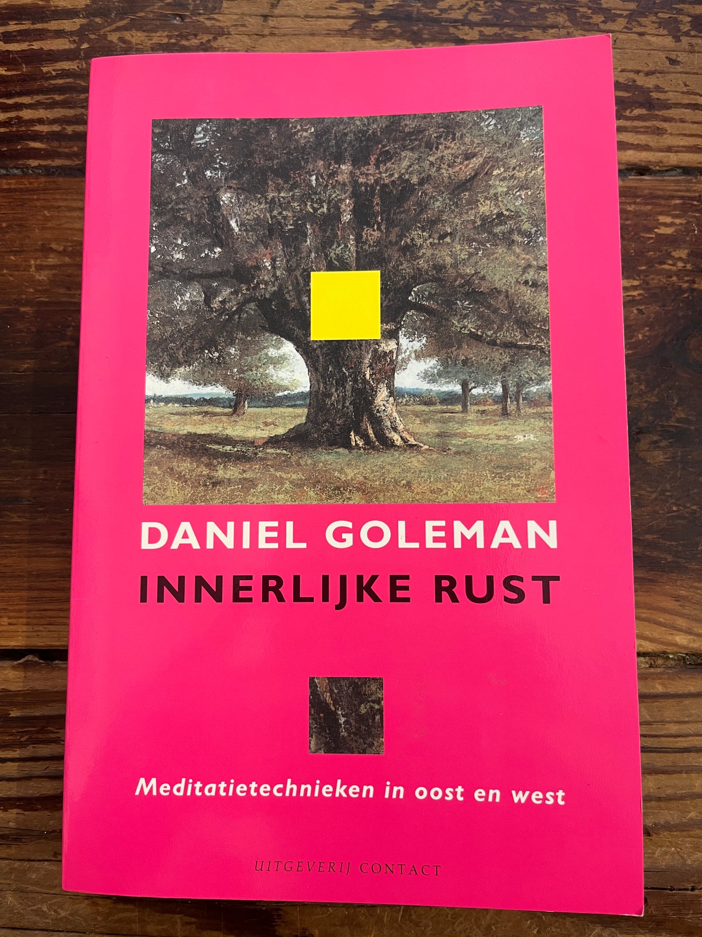 Innerlijke rust, meditatietechnieken in oost en west, Daniel Goleman