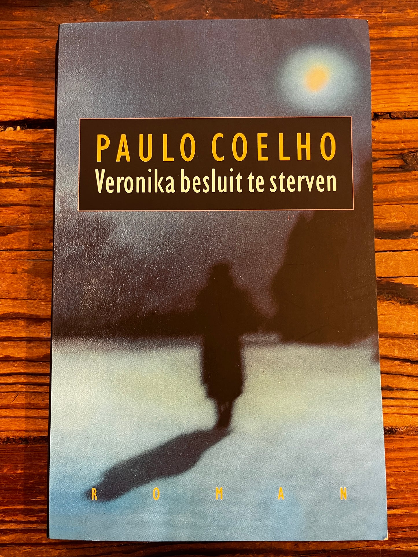 Veronika besluit te sterven, Paulo Coelho